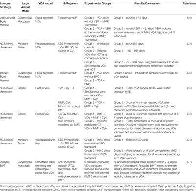 Large Animal Models of Vascularized Composite Allotransplantation: A Review of Immune Strategies to Improve Allograft Outcomes